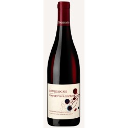 Domaine Marchand-Grillot Bourgogne Pasquier Des Chenes | French Wine